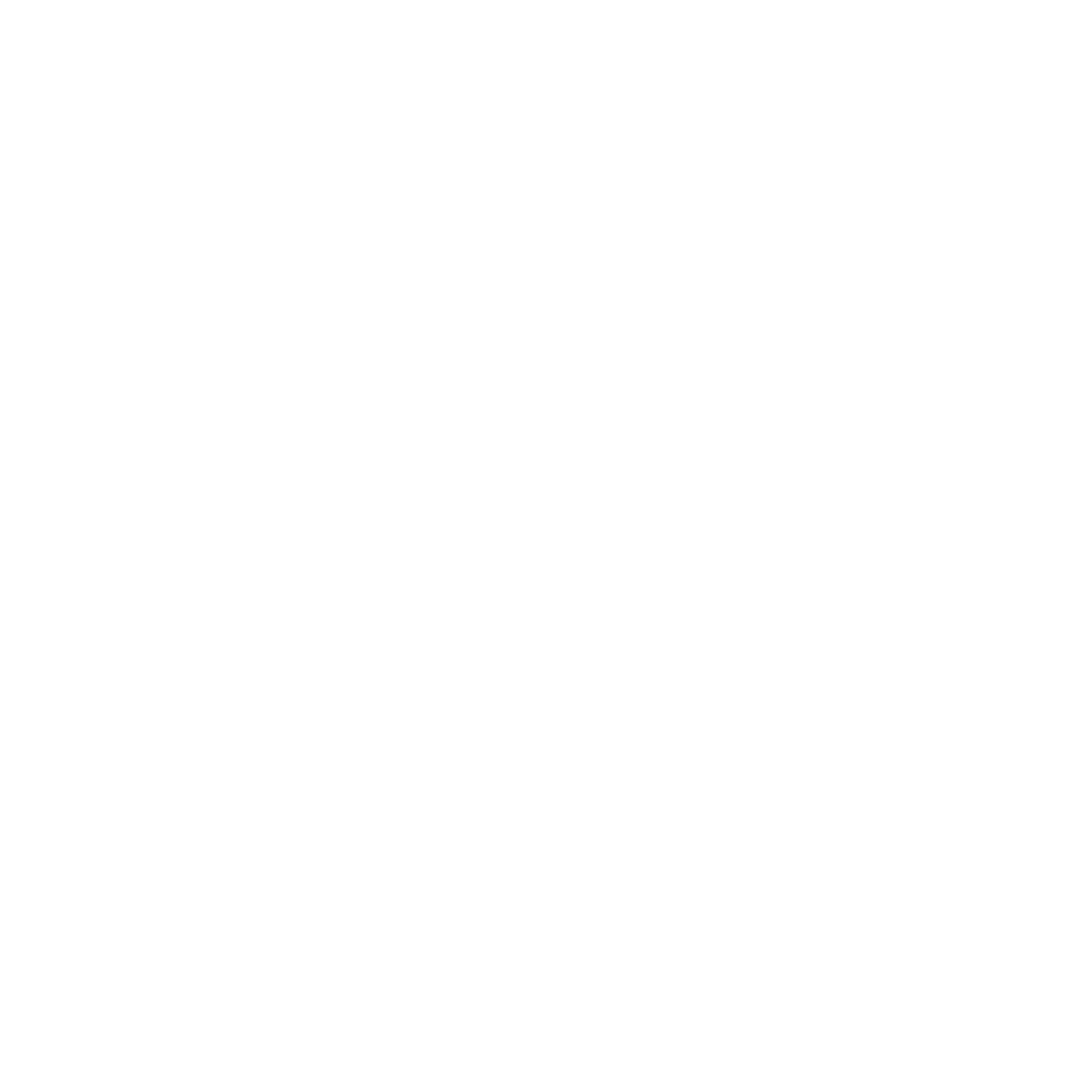 SpeedInsights-Reporting_white